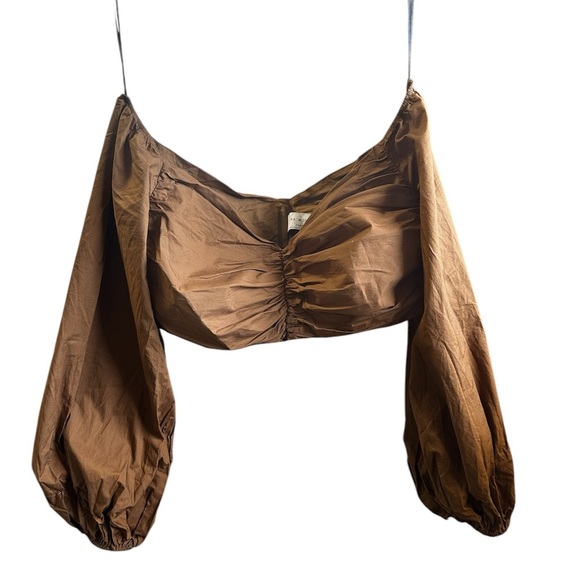 ZARA Brown Cropped Off Shoulders Puffed Sleeves - Picture 1 of 5